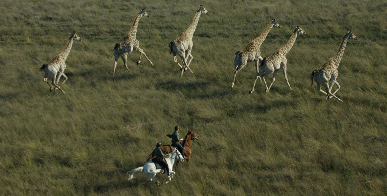 C03 Botswana 1.jpg